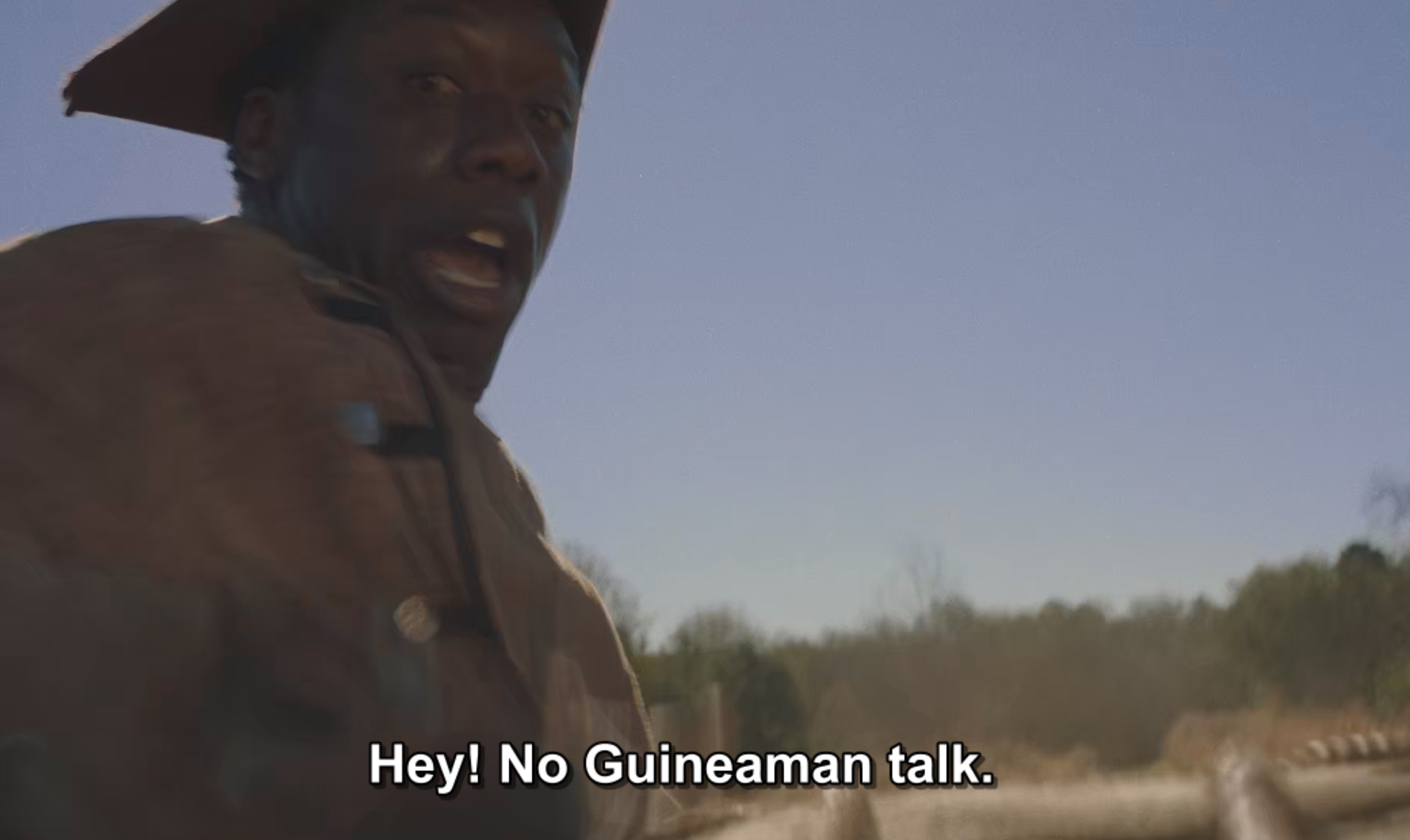 roots.jpg