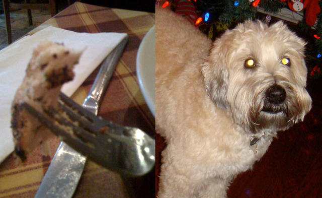 roscoe_chicken.jpg