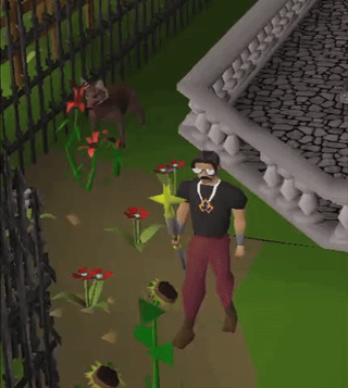 runescapedog.gif