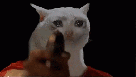 sad-cat.gif