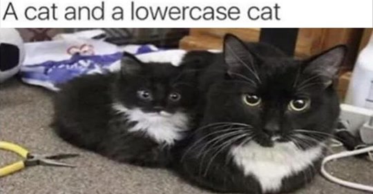 safe_image.php-3.jpeg