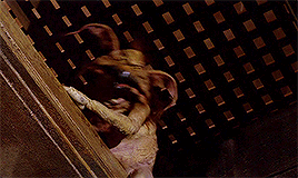 salacious-b-crumb.gif