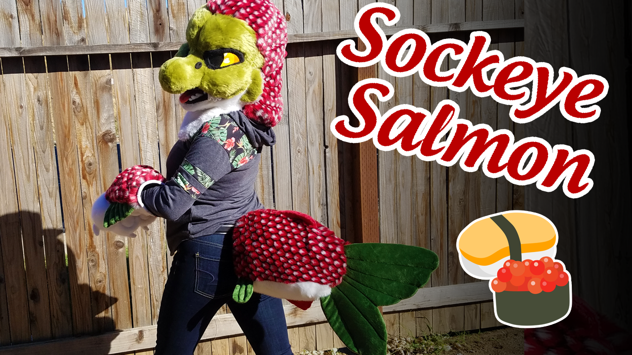 Salmon.png