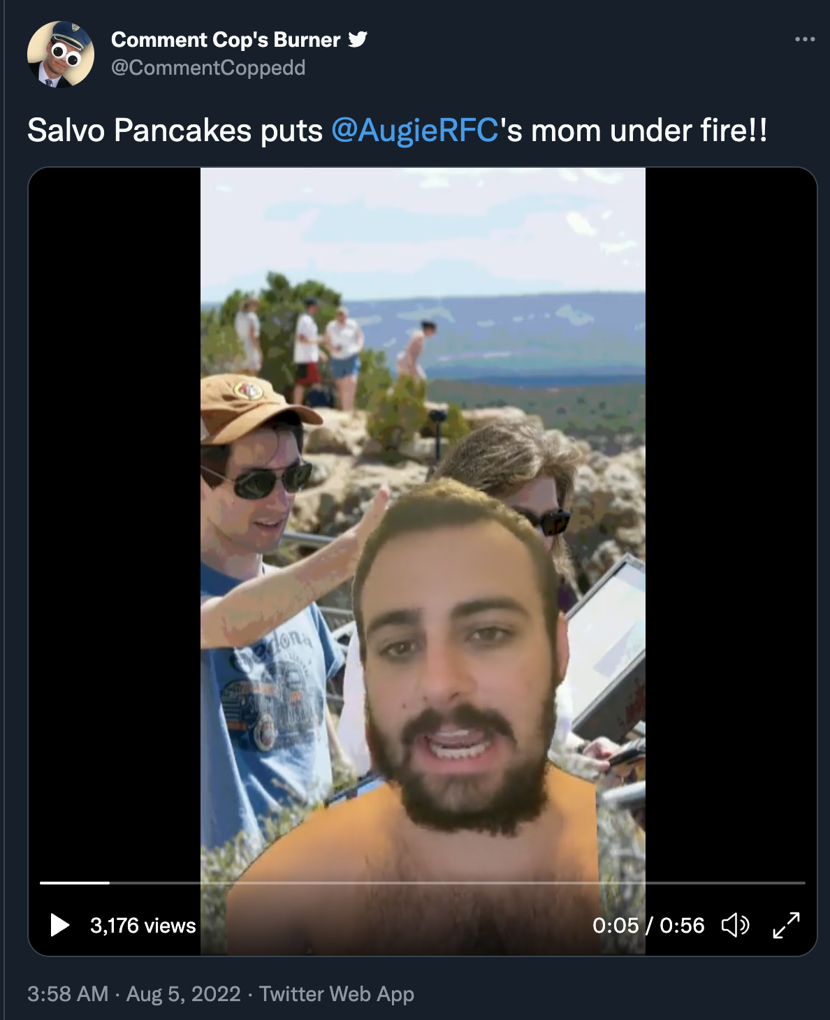 salvo.png