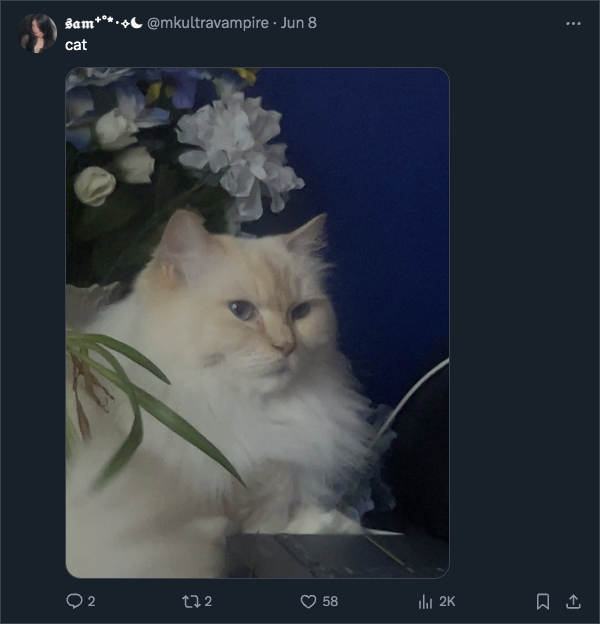 SamTweet.png
