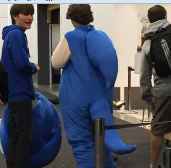 sanic.png