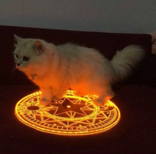 satan cat.png
