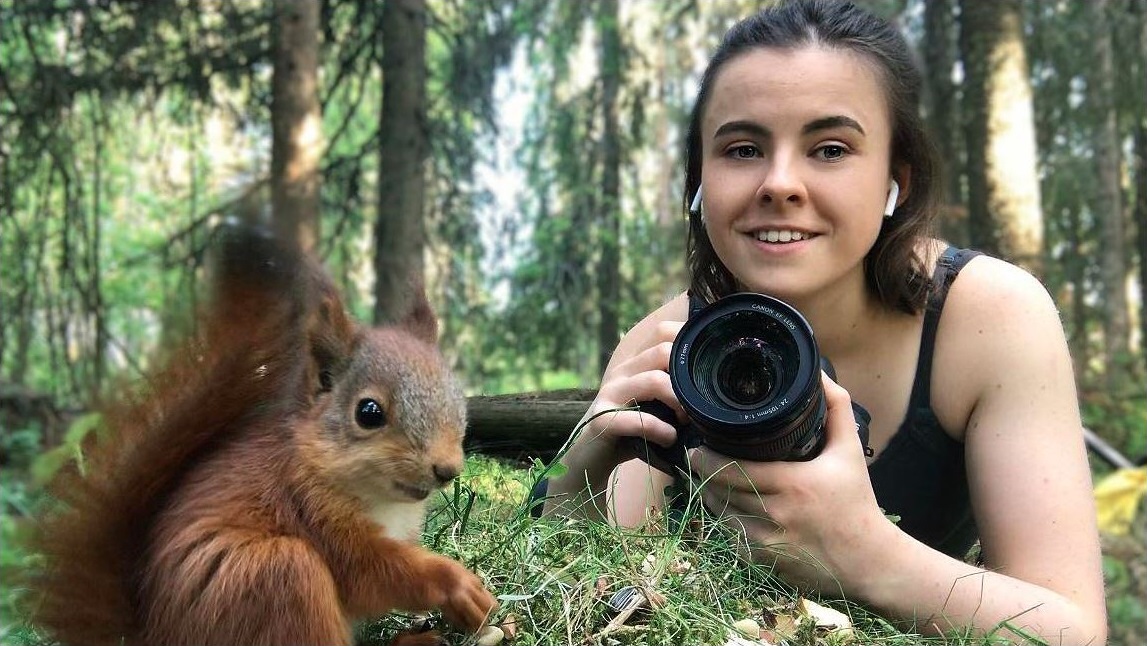 Scottish red squirrel.JPG