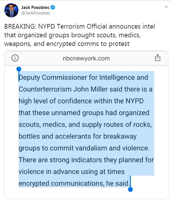 scout.jpg