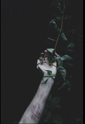 Screenshot (2090).png