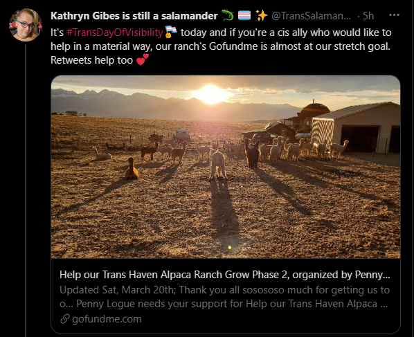 Screenshot (7).png