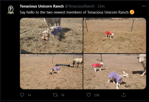 Screenshot.png