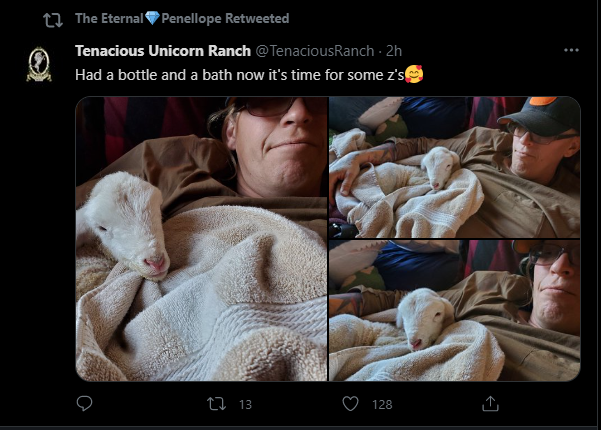 Screenshot.png