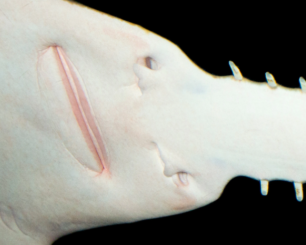 Screenshot_10.png