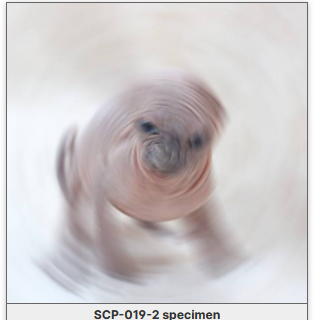 Screenshot_6.png