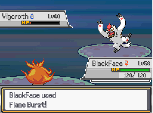 Screenshot_81.png