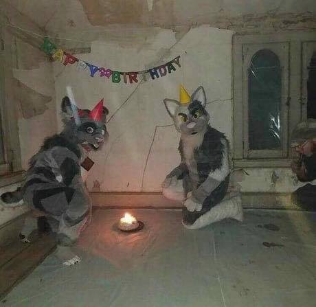sdfgsdfgs.jpg