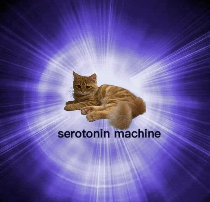 serotonin.jpg