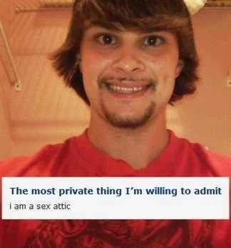 sex_attic.webp