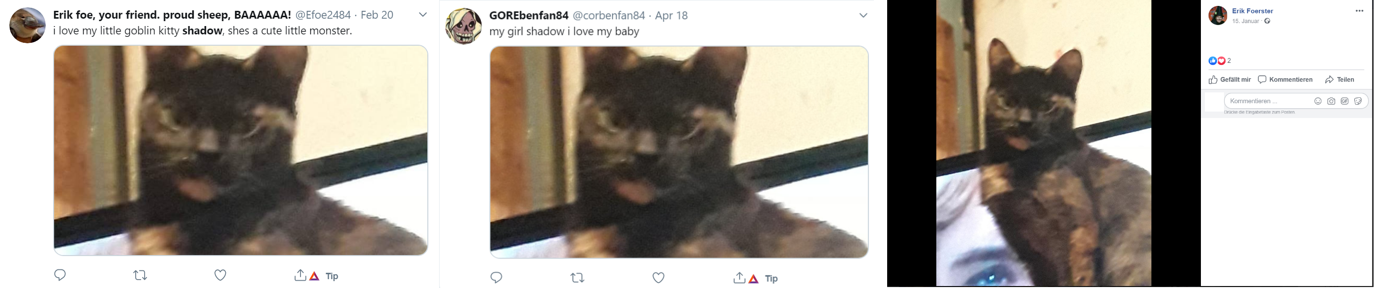 shadow.png