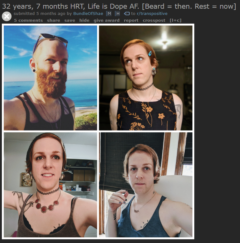shae3.PNG