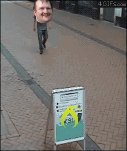 shaner.gif