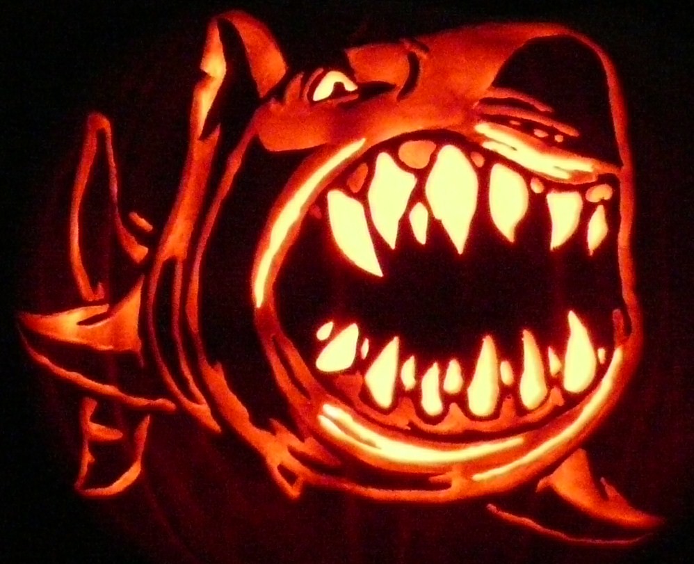 shark03.jpg