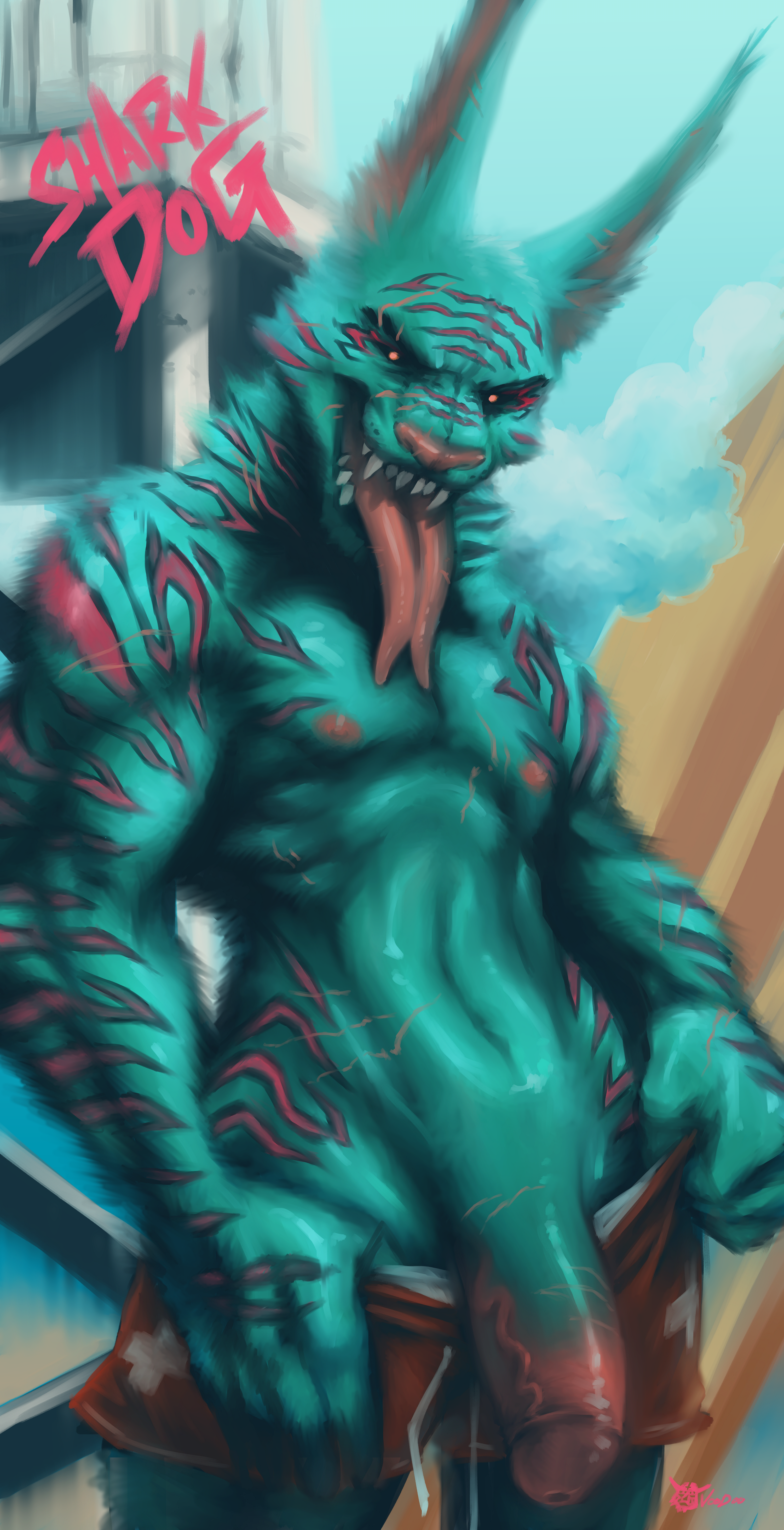 sharkdogbara2.png