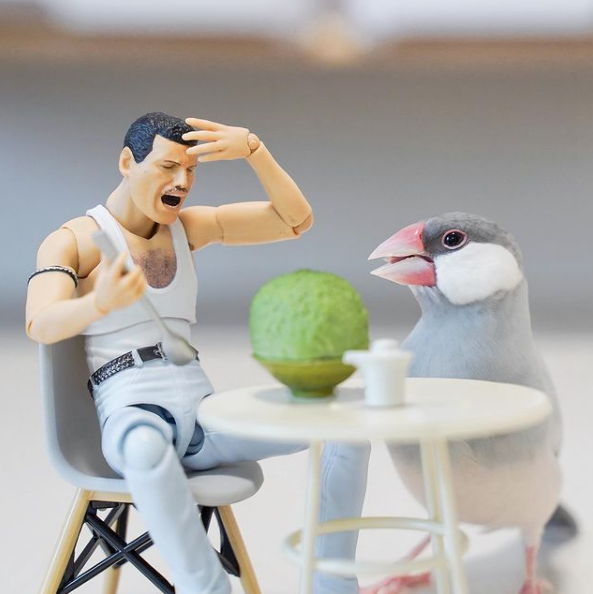 shaved ice.png