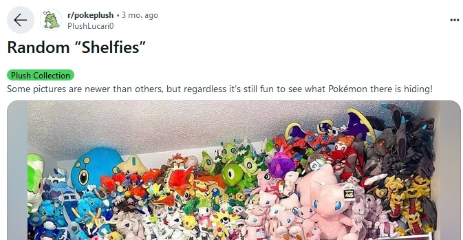 shelfies.jpg