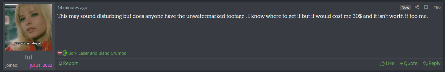 shit.PNG