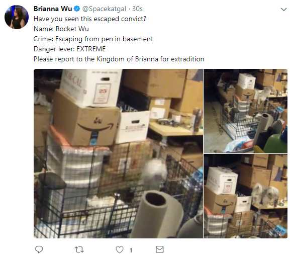 shit.png