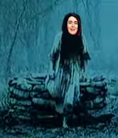 shitty quality as expected.png