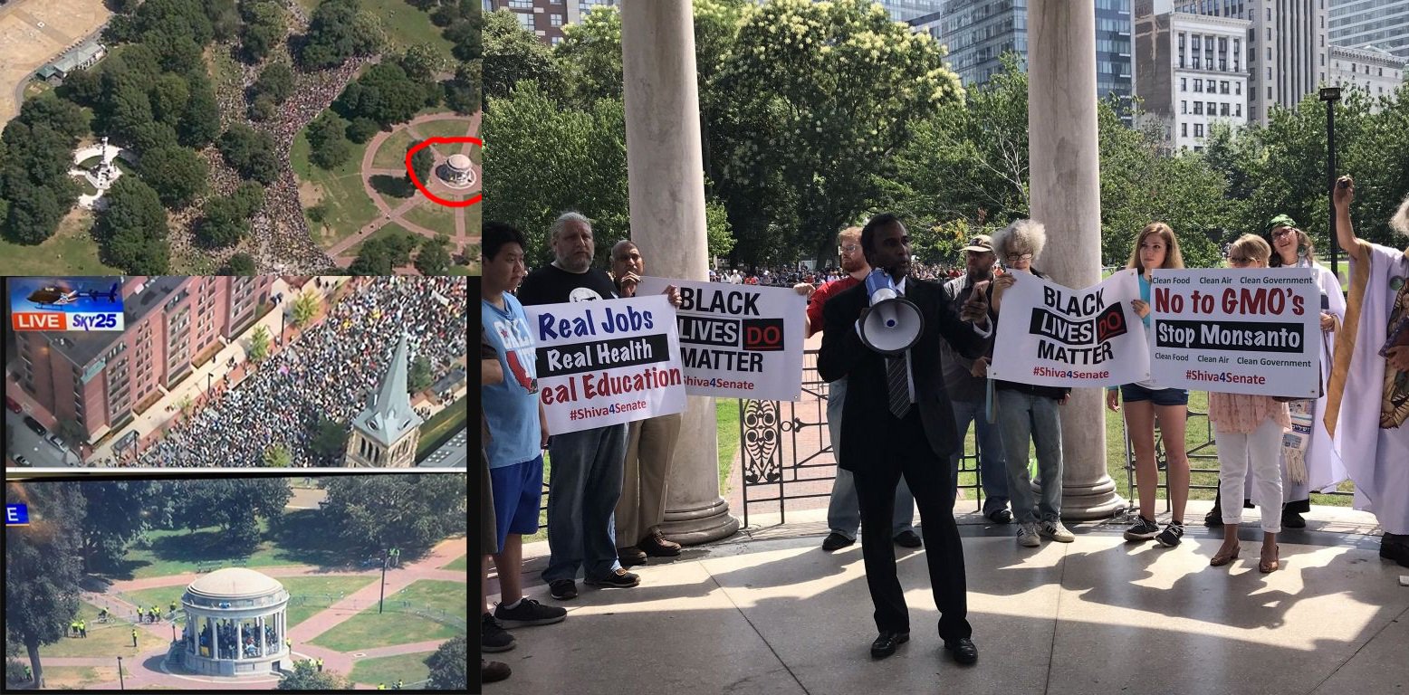 shiva 4 senate.jpeg