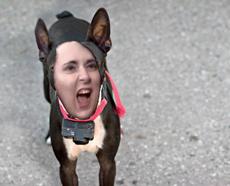 shock collar flynt.png
