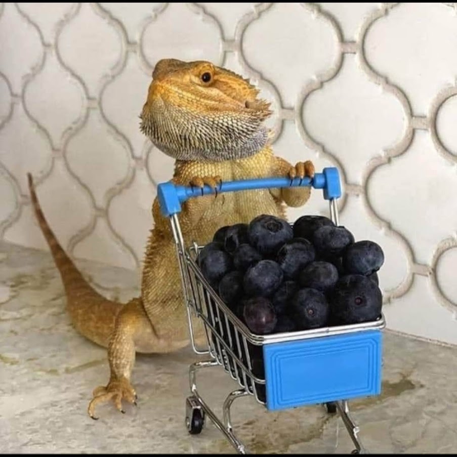 shop.jpg