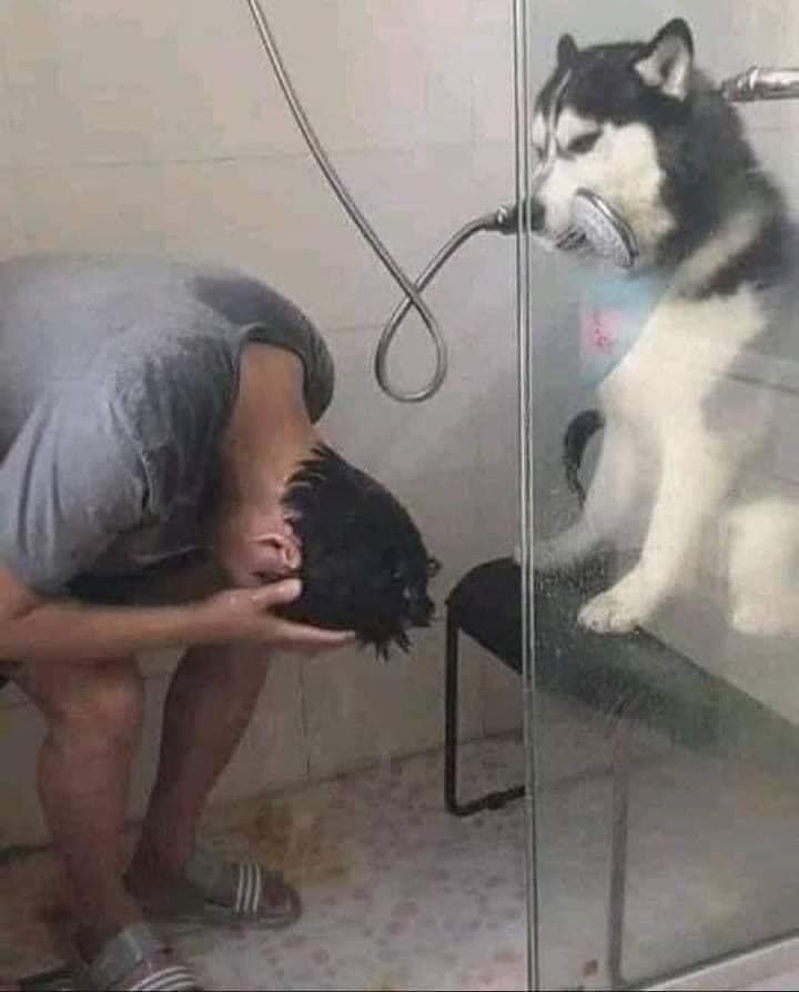 shower.jpg