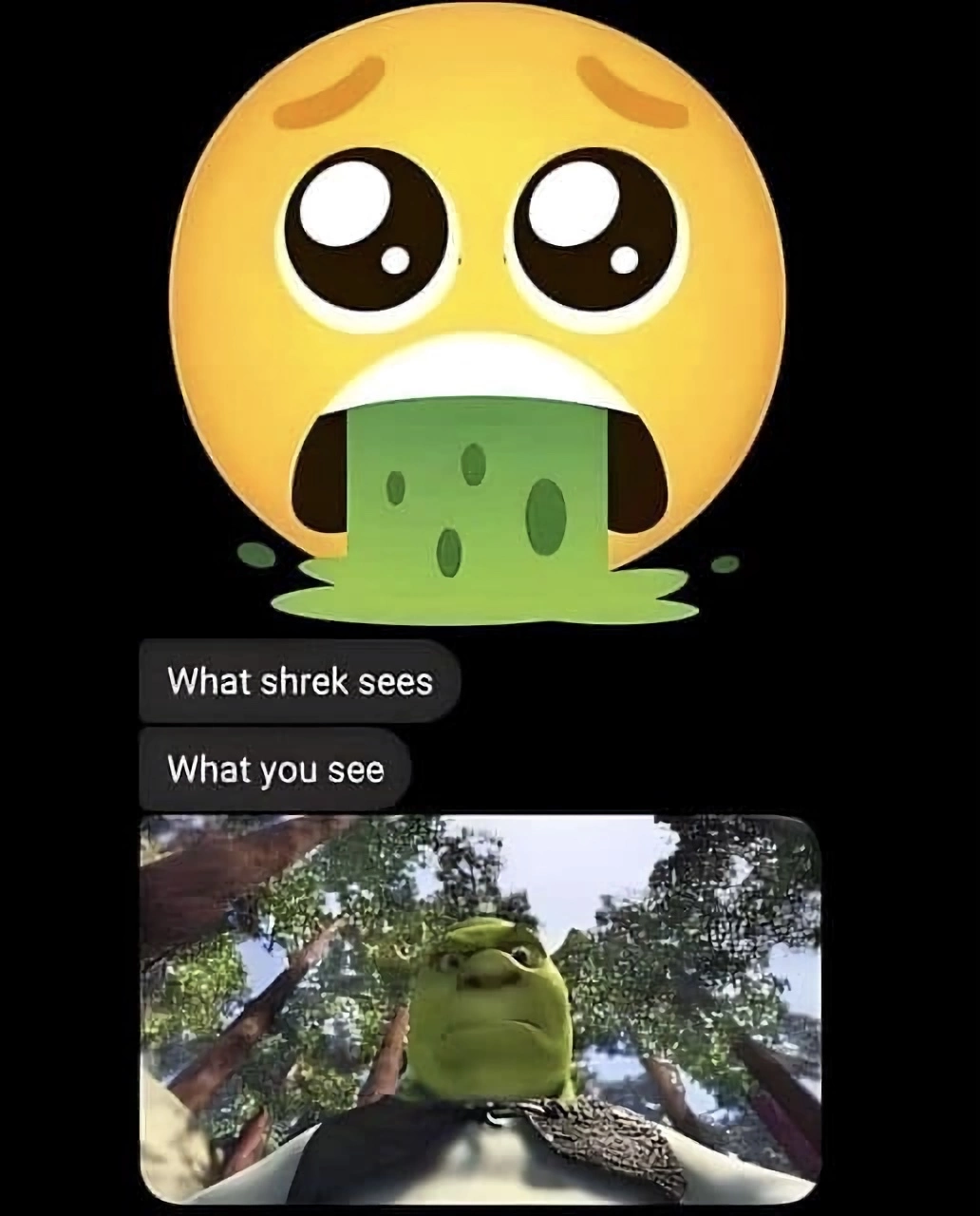 shrek.webp