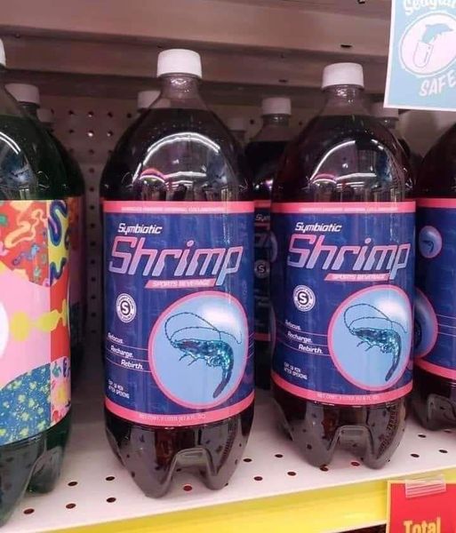 shrimpcola.jpg