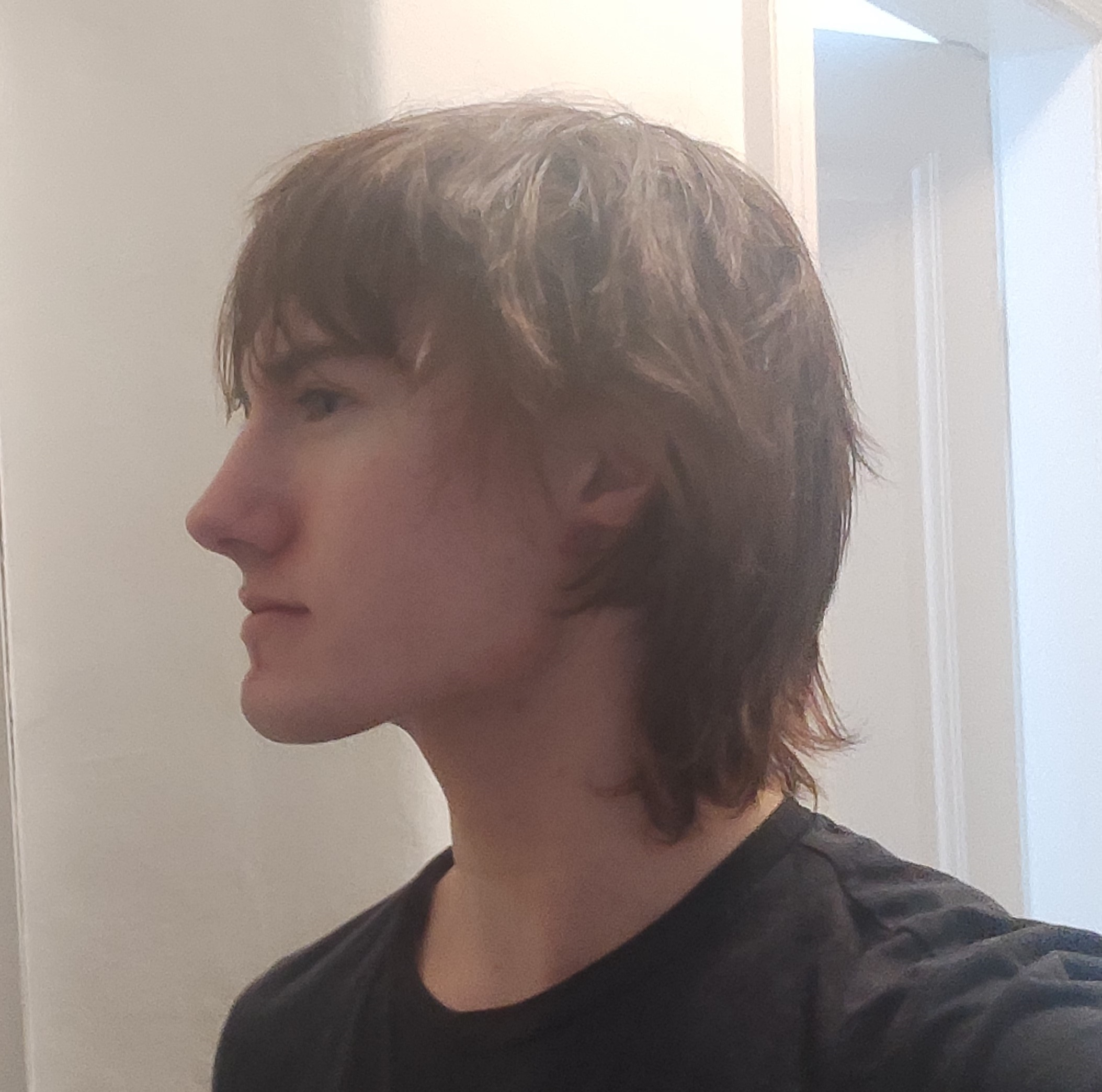 Side.png