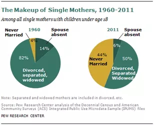 SingleMothersMakeupPercentageStats.webp