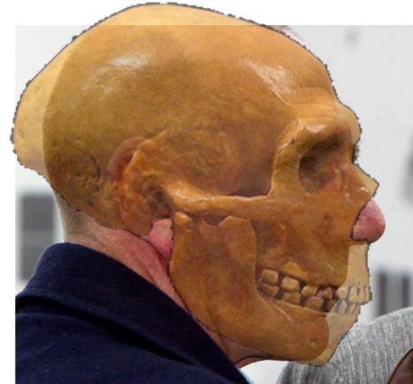 skulls2.jpg