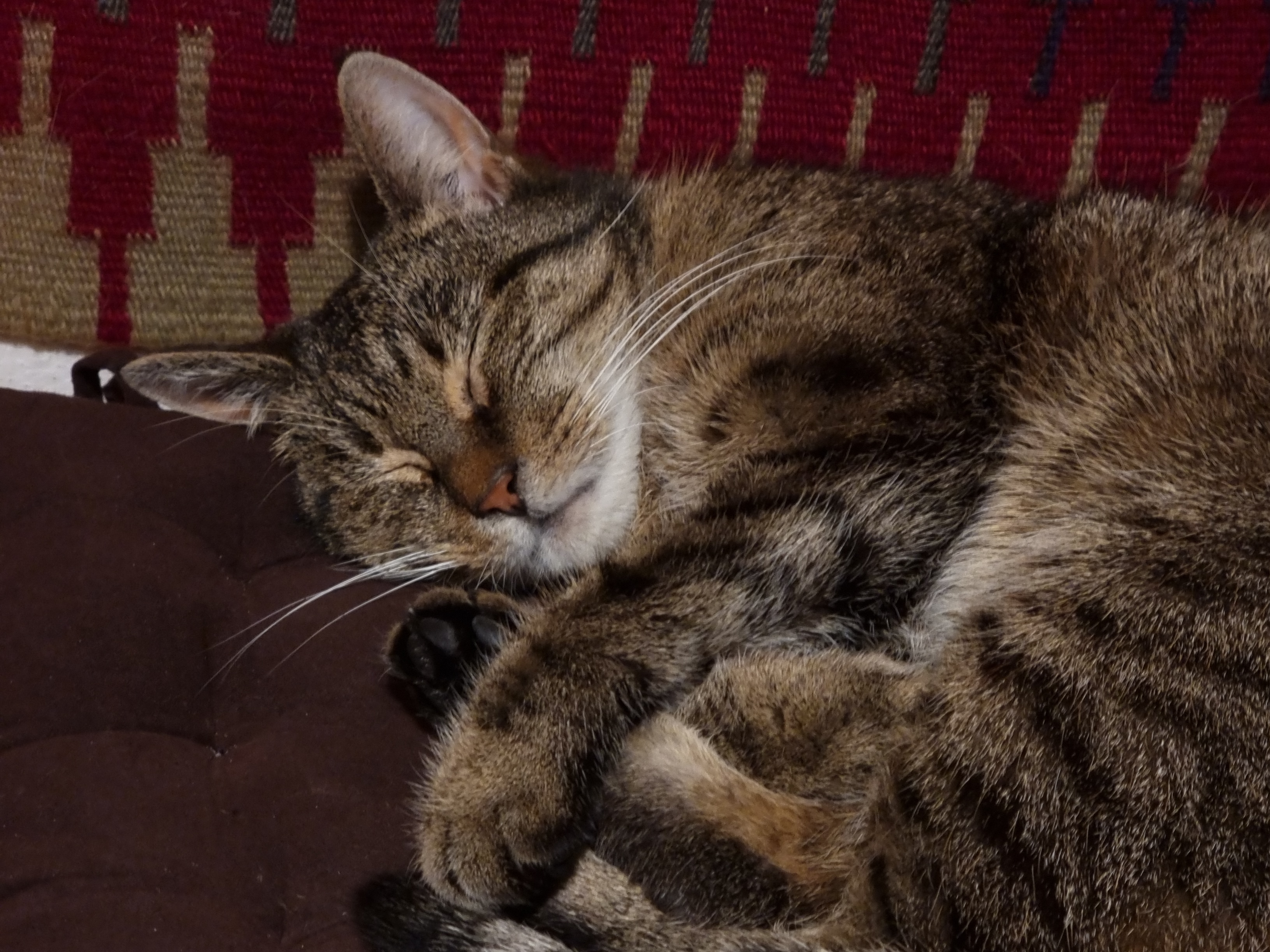 sleepy.jpg