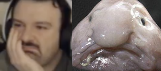 slice1.png
