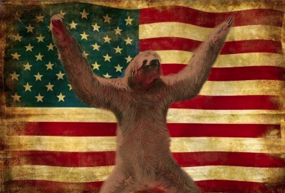 sloth murica.jpg