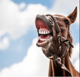 smil.JPG