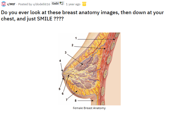 smilingboobs.PNG