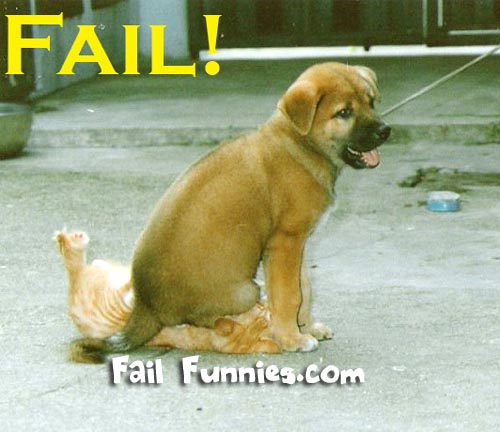 smushed-cat-fail.jpg