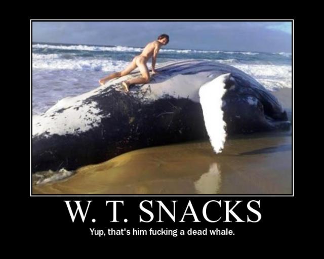 Snackattack.jpg
