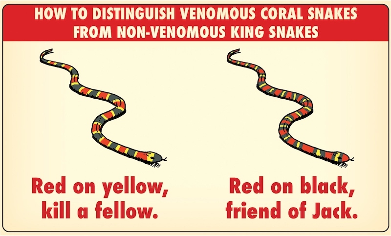 snake.jpg